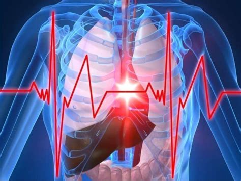 How To Prevent Hypertensive Heart Disease Through Heart Care Tips