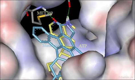 Drug Design Drug Design Org