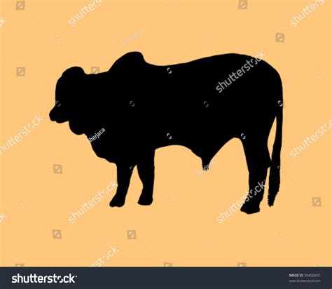 Brahman Bull Silhouette Vector De Stock Libre De Regalías 39450691