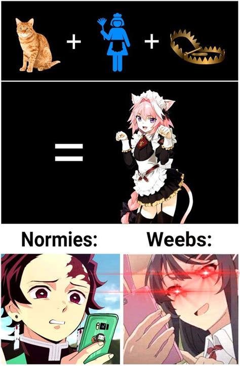 r goodanimemes r goodanimemes anime memes otaku anime memes funny anime pics