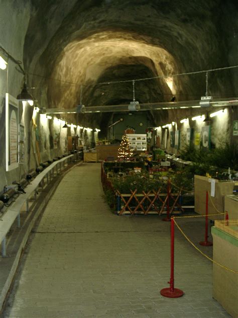 Der Eisenbahntunnel Mec Schwarzenbergde