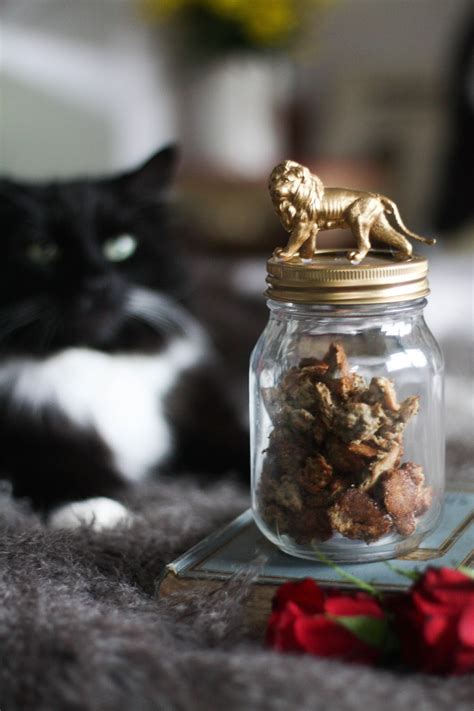 Homemade cat treats with tuna & catnip (+ DIY jar for cat treats ...
