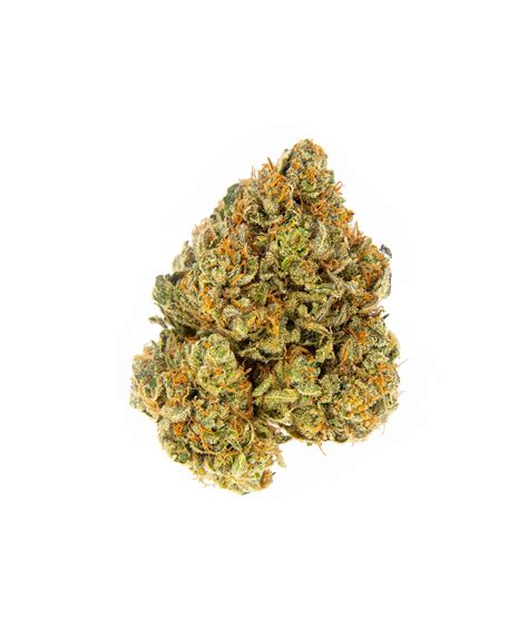 Stardawg Cannabis Seeds Review Buy Weed Chain