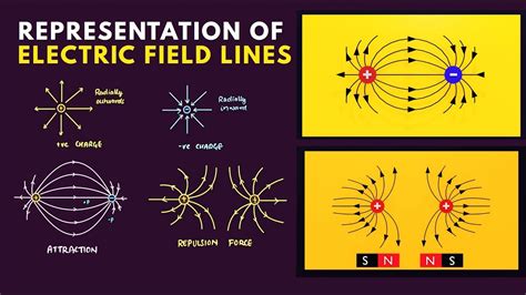Representation Of Electric Field Lines Notes Animation Physics