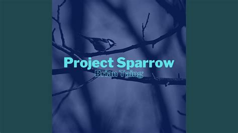 Project Sparrow Youtube