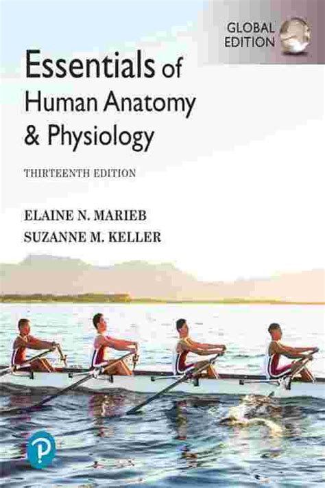 Pdf Essentials Of Human Anatomy And Physiology Global Edition By