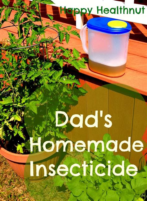 It is no secret that mosquitoes are drawn to humans and animals because of the carbon dioxide and scents that are given off as a result of breathing. Homemade Garlic Spray: A Non-Toxic Insecticide | Natural ...