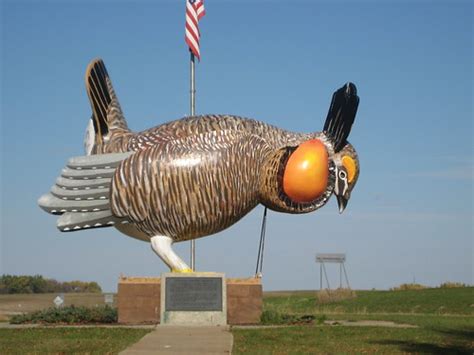 Prairie Chicken In Rothsay Statue Of Prairie Chicken In Ro Flickr