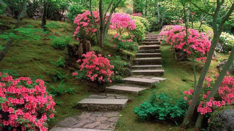 japanese garden wallpapers top free japanese garden backgrounds wallpaperaccess