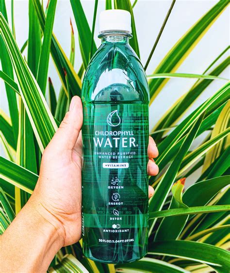 Benefits Of Chlorophyll Water By Nataly Komova Rd