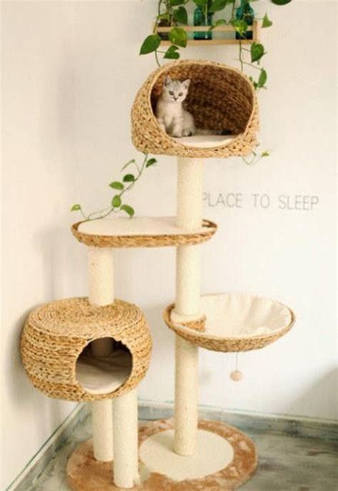 25 Indoor Cat Tree Ideas For Play And Relax Obsigen