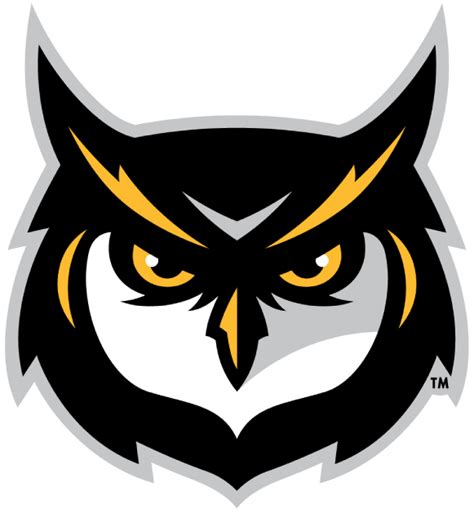 Kennesaw State Owls Alternate Logo 2012 Kennesaw State Owl Logo