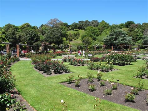 Wellington Botanic Garden In Wellington My Guide Wellington