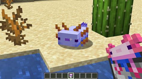 The Rarest Axolotl Color In Minecraft Youtube