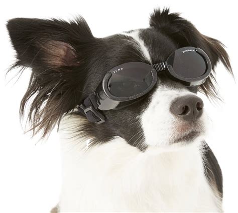 Doggles Ils Dog Goggles Small Metallic Black