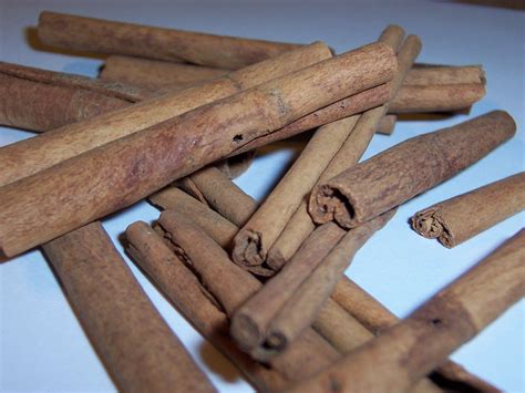 Cinnamon Sticks 2 Free Photo Download Freeimages