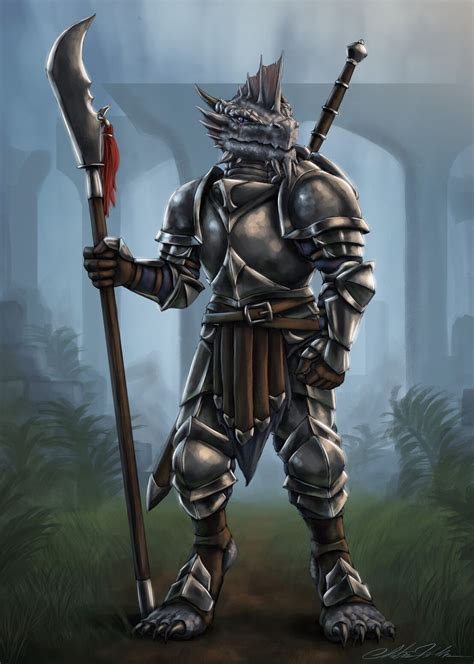D D Commission Marcrath Cluuldrur The Silver Dragonborn Fighter