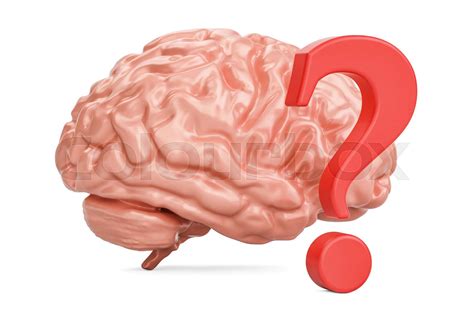 Human Brain With Question Mark 3d Rendering Stock Image Colourbox