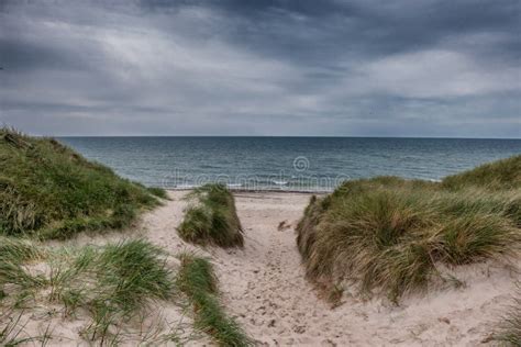 Dunes At The North Sea Coast In Jammerbugt Denmark Stock Photo Image