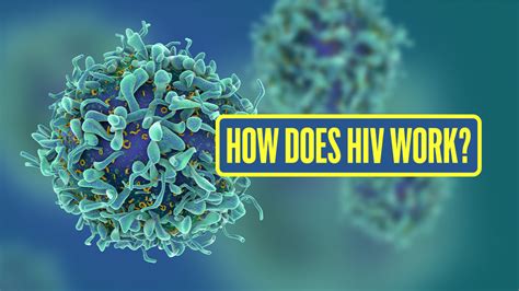How Does Hiv Work Stages Of Hiv Ending Hiv