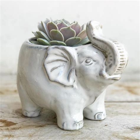 🐘🌸 Elephant Pots Are Back In Stock Tap Photo To Shop Elephant