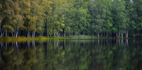 Beautiful Reflection View Of The Isolammi Lake Located In Finland