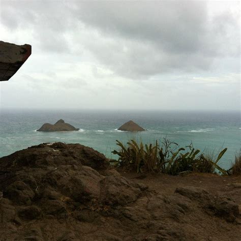 Pillbox Hike Kailua 2021 Ce Quil Faut Savoir Pour Votre Visite