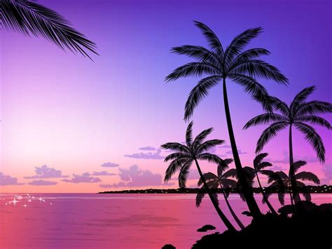 Palm Tree Wallpapers Wallpaper Cave