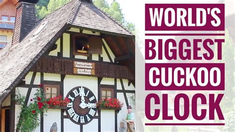 Worlds Biggest Cuckoo Clock Black Forest Germany Youtube