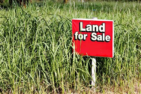 Land For Sale Sign Homesteading How To