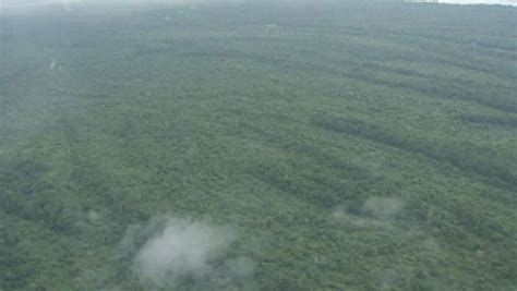 Fight To Save The Rainforest In The Congo Basin Britannica