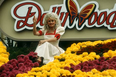 Photos Dolly Partons Dollywood Theme Park Opened New Wildwood Grove