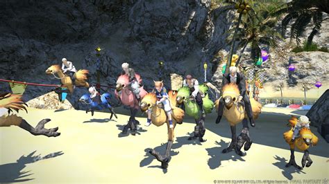 To get it past 10, you will need to unlock the ability for it to earn experience for its current level by using a thavnairian onion. Final Fantasy XIV 2.51 Patch Adds Gold Saucer, Triple Triad - Just Push Start