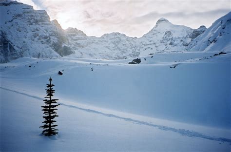 Climate Banff