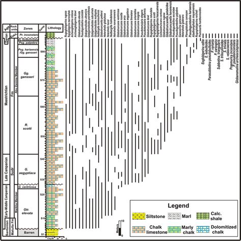 Range Chart Of The Identified Planktonic Foraminiferal Species At The