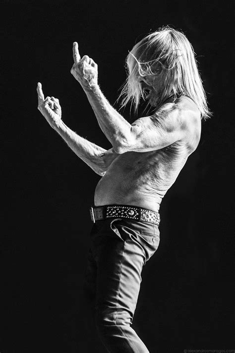 Search and destroy iggy pop mix — iggy & the stooges. Iggy Pop Live at Release Athens 2019 (Photography ...