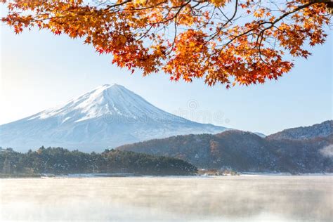 Mt Fuji In Autumn Stock Photo Image Of Maple Kawaguchi 85563992