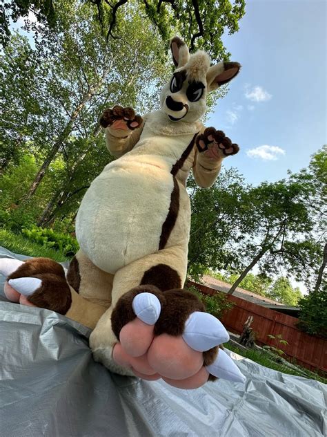 Fursuit Review On Twitter New Fursuit Review Yes Mocha Kangaroo