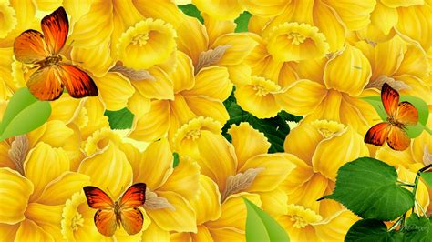Colorful Butterfly Wallpaper Wallpapersafari
