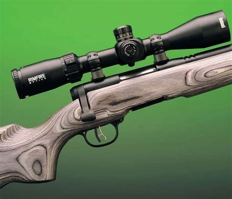 Savage 17 Winchester Super Magnum
