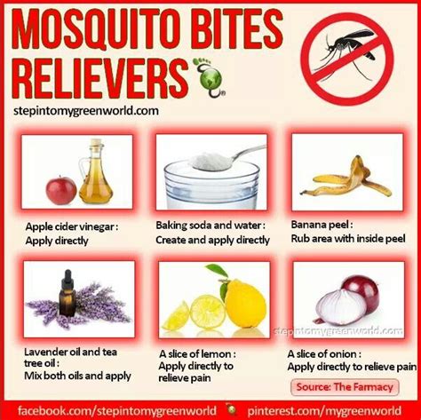 Mosquito Bites Reliever Home Remedies Pinterest