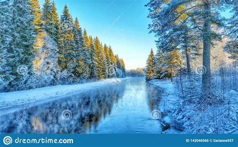 Frozen Cold River With Snowy Forest Stock Photo Image Of Ecology