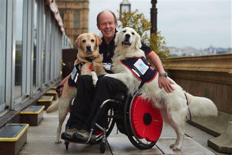 Maybe you would like to learn more about one of these? Hounds for Heroes - Points of Light