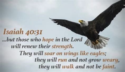 I Will Soar On Wings Like Eagles Wings Like Eagles Scripture Quotes