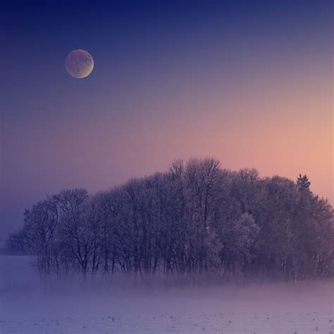 Winter Wallpaper 4k Aesthetic Morning Foggy Moon Landscape Cold