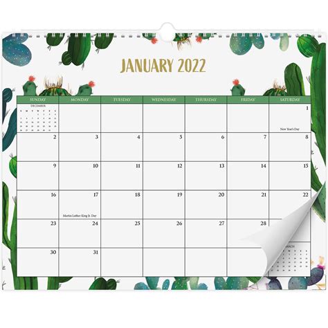 Buy Aesthetic Cactus Wall Calendar Runs From January 2022 Until July
