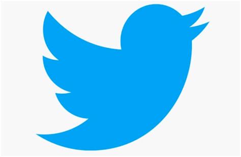 Why The Twitter Logo Works