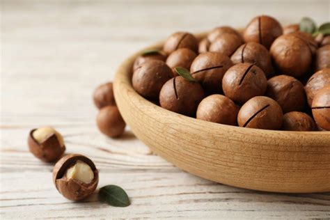 Apa itu perusahaan dagang ? Yuk Cari Tahu Jenis Kacang-kacangan dan Manfaatnya