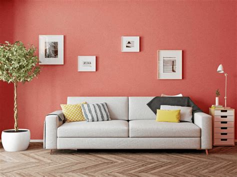 warna cat dinding  kalem  modern  minimalis