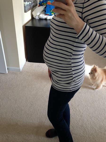 Second Baby Bump Progress 24 Weeks Charmingly Modern